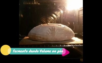 A Importância Da Pestana Do Pão