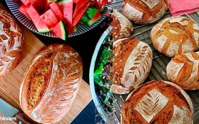 Blog com dicas e informações 6 5 técnicas infalíveis na produção do pão