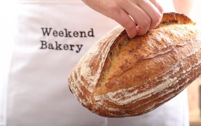 Blog com dicas e informações 2 O Pão Ganha Audiência Com Novas Formas