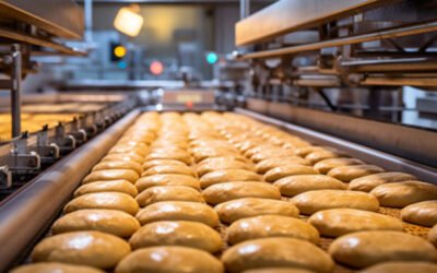 Ferramentas de Cortar Pão Industrial e Artesanal